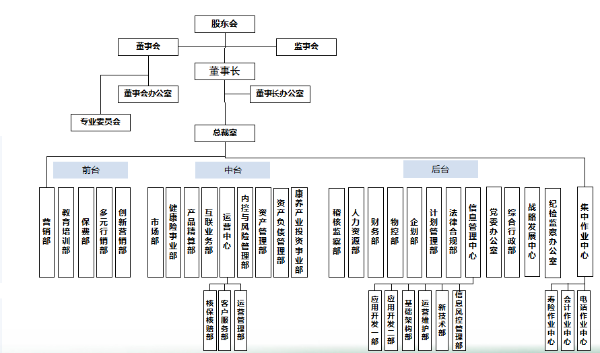 公司部门设置情况